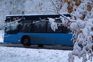 ANO by opět zavedlo slevy na jízdném, jsou ale potřeba? Vše hovoří proti - Seznam Zprávy